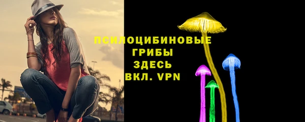 хмурый Сатка
