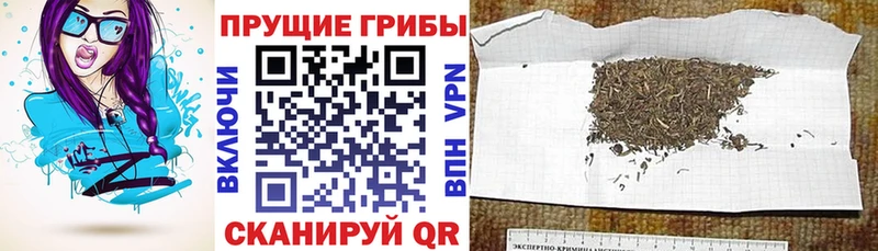 Купить где  Ступино  Галлюциногенные грибы Magic Shrooms 